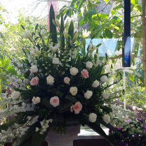 WhatsApp Image 2022-09-20 at 12.06.04 PM WhatsApp Image 2022-09-20 at 12.06.04 PM